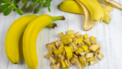 manfaat kulit pisang