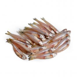 Ikan Terigaler/90-100g