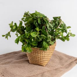 Daun Mint / 180-200g