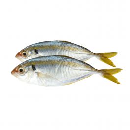 Ikan Selar/225-250g