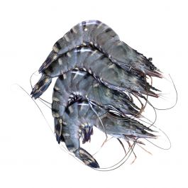 Udang Pancet Ak 25/225-250g