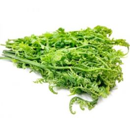 Daun Pakis 1 Ikat