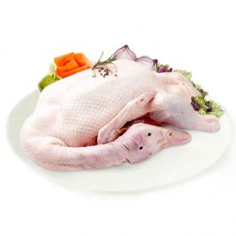 Bebek Frozen 1.1-1.2Kg/Ekor