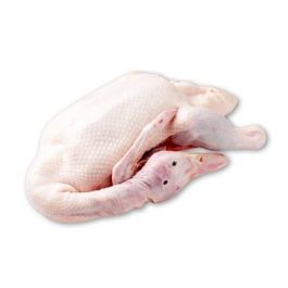 Bebek Lokal Frozen 1.1-1.2Kg/Ekor