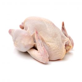 Ayam Broiler Frozen 800-900 g/Ekor