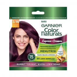 Garnier Color Naturals Burgundy 20